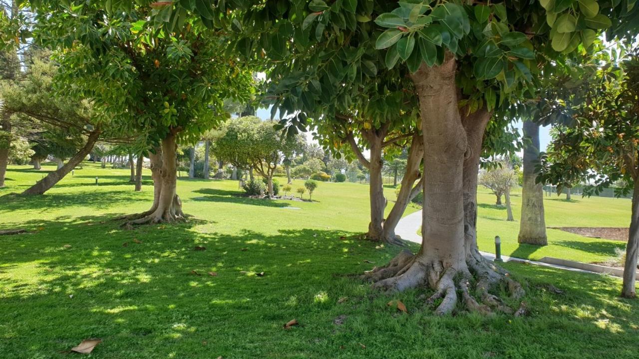 Torres De Aloha 2 Bdr Puerto Banus Διαμέρισμα Μαρμπέλλα Εξωτερικό φωτογραφία